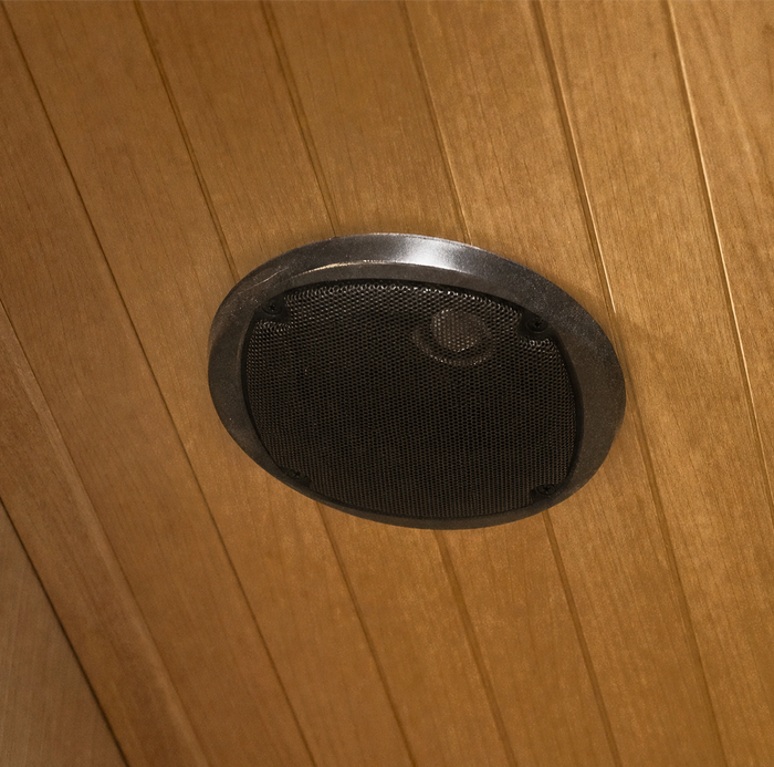 Integrated Resonance Speaker