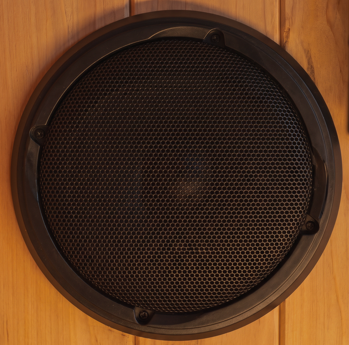Dual Speakers