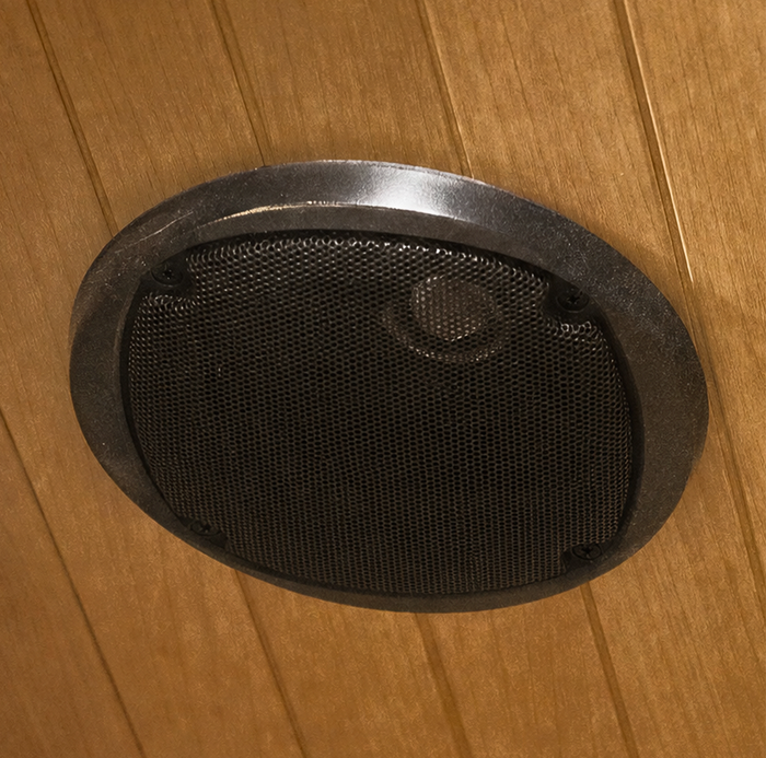 Dual Speakers